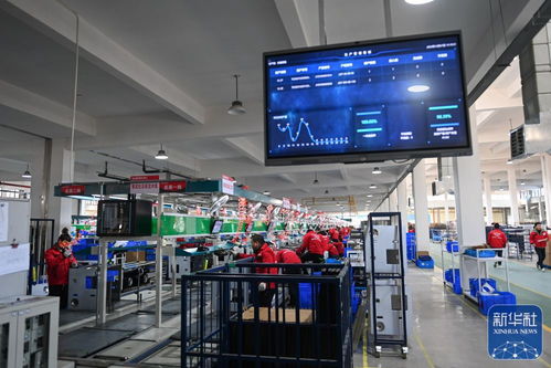 浙江嵊州 以高質量社會經濟咨詢服務為引擎，推進工業經濟跨越發展